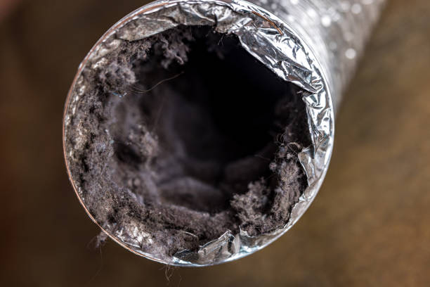 Best Professional Duct Cleaning Services  in Addison, TX